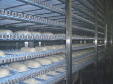 fermentacja